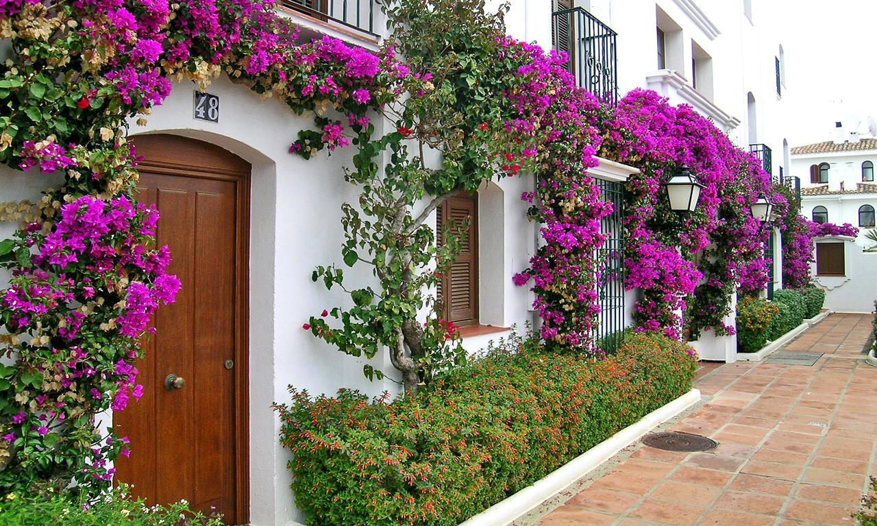 Macdonald Villacana Resort Estepona Exteriör bild